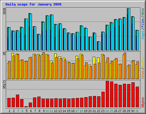 Daily usage for January 2026