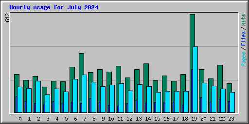 Hourly usage for July 2024