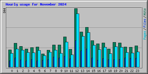 Hourly usage for November 2024