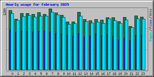 Hourly usage for February 2025