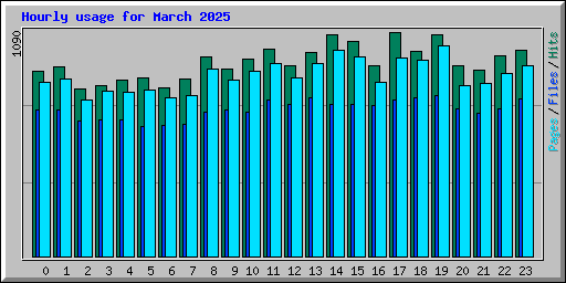 Hourly usage for March 2025