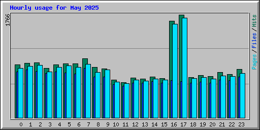 Hourly usage for May 2025