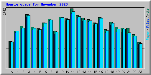 Hourly usage for November 2025