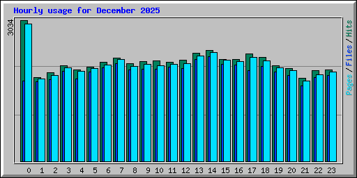 Hourly usage for December 2025