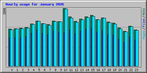 Hourly usage for January 2026